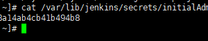 在服务器上搭建Jenkins自动化部署工具-诚哥博客